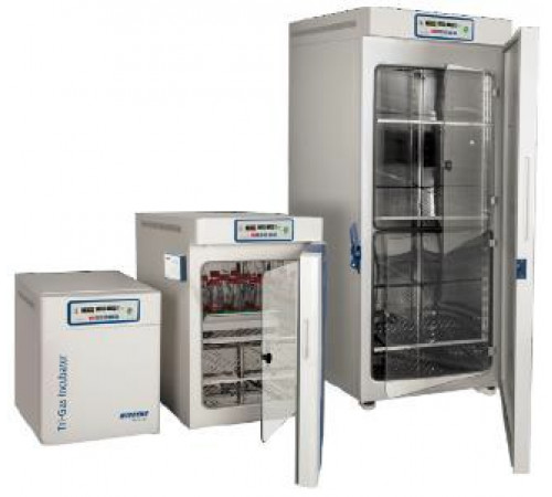Трёхгазовый инкубатор WCI-40 T Трёхгазовый инкубатор WCI-40 T